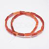 Natural Carnelian Beads Strands G-E342-12-2