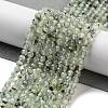 Natural Prehnite Beads Strands G-G140-A19-03-2