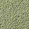 MIYUKI Round Rocailles Beads X-SEED-G008-RR4473-4