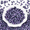 Baking Paint Glass Seed Beads SEED-N008-06F-2