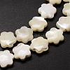 Natural Trochid Shell/Trochus Shell Beads Strands SSHEL-K010-03-3