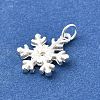 925 Sterling Silver Pendants STER-Q003-01F-S-2