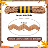  
 5Sets 5 Colors Polypropylene Fiber Ribbons SRIB-PH0001-48-2