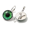 Eye Glass Leverback Earrings with Brass Earring Pins EJEW-Q798-01N-2