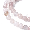 Natural Quartz Beads Strands G-P530-B02-01-4