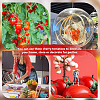 Mini Plastic Imitation Cherry Tomato DJEW-WH0042-57-6