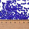 Transparent Colours Glass Seed Beads X1-SEED-P006-02A-16-4