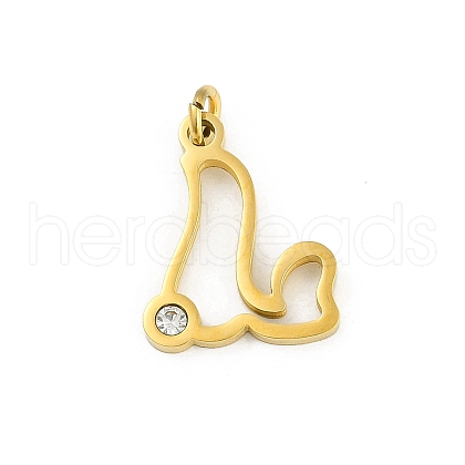 304 Stainless Steel Pendants STAS-R137-01G-L-1