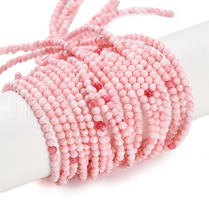 Natural Freshwater Shell Beads Strands BSHE-H109-14-1