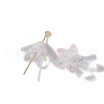 Transparent Acrylic Bead Caps PW-WGCFC53-02-1