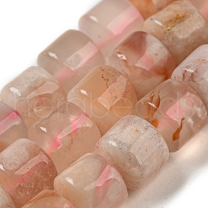 Natural Cherry Blossom Agate Beads Strands G-M420-L01-04-1