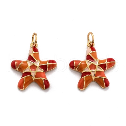 Brass Enamel Pendants KK-O140-09G-1
