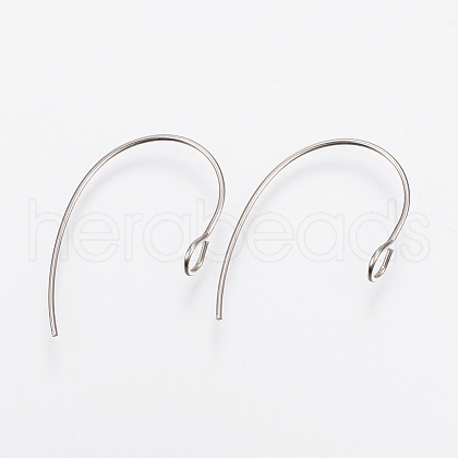 304 Stainless Steel Earring Hooks X-STAS-F148-05P-1