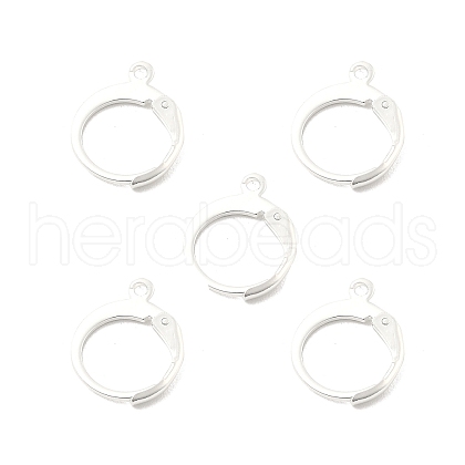 304 Stainless Steel Leverback Earring Findings STAS-D448-041S-1