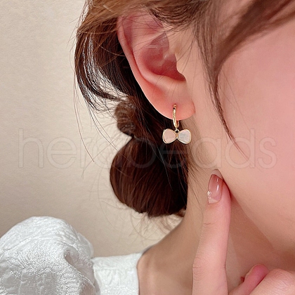 Resin & Alloy Dangle Earrings for Women WG29476-112-1