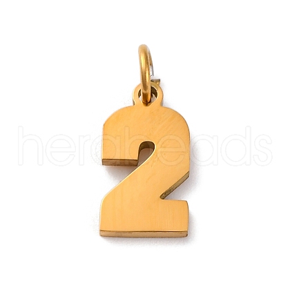 304 Stainless Steel Charms STAS-A106-01G-02-1