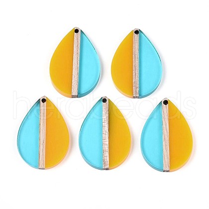 Transaprent Resin & Wood Pendants RESI-T057-82-1