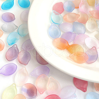 Acrylic Pendants OACR-K008-12-1