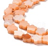 Natural Freshwater Shell Beads Strands SHEL-H002-03C-4