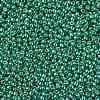 TOHO Round Seed Beads X-SEED-TR11-PF0561-2