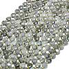 Natural Labradorite Beads Strands G-C116-A65-02-2