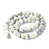 Electroplate Handmade Lampwork Beads Strands LAMP-S068-11F-2