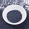 MIYUKI Delica Beads SEED-X0054-DB0301-2