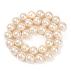 Shell Pearl Beads Strands BSHE-XCP0001-62A-2