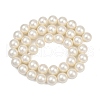 Shell Pearl Beads Strands BSHE-XCP0001-47-3