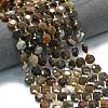 Natural Petrified Wood Beads Strands G-C116-A135-01-1