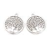 Tibetan Style Alloy Pendants TIBE-Q070-161AS-RS-1