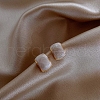 Alloy Enamel Earrings for Women FS-WG85681-62-1