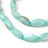 Natural Freshwater Shell Dyed Beads Strands SHEL-M018-13-02-3