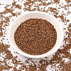MIYUKI Delica Beads X-SEED-J020-DB0505-2
