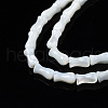 Natural Trochid Shell/Trochus Shell Beads Strands SSHEL-N034-122-B01-3