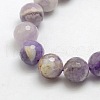 Natural Gemstone Amethyst Round Beads Strands X-G-O021-12mm-13-2