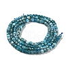 Natural Apatite Beads Strands G-P457-B01-14-4