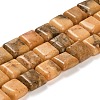 Natural Dolomite Beads Strands G-F765-C02-01-1