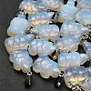 Opalite Pendants G-B127-06P-12-5