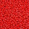 Baking Paint Glass Seed Beads SEED-T006-03S-2