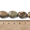 Natural Picture Jasper Beads Strands G-P528-L24-01-5