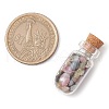 3Pcs Glass Wishing Bottle Decorations PALLOY-JF03096-2
