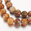 Natural Crazy Agate Round Bead Strands G-M272-03-8mm-3