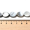Natural Black Lip Shell Beads Strands BSHE-D300-04B-4