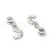 Alloy European Dangle Charms PALLOY-JF00001-14-2
