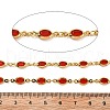 Brass Glass Oval Link Chains CHC-R001-02G-01-2