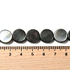Natural Black Lip Shell Beads Strands BSHE-D300-05-12mm-4