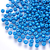 6/0 Baking Paint Glass Round Seed Beads SEED-S036-01C-11-1