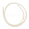 Natural White Shell Beads Strands SHEL-M021-03B-2