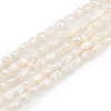 Natural Cultured Freshwater Pearl Beads Strands PEAR-P064-20E-01A-2